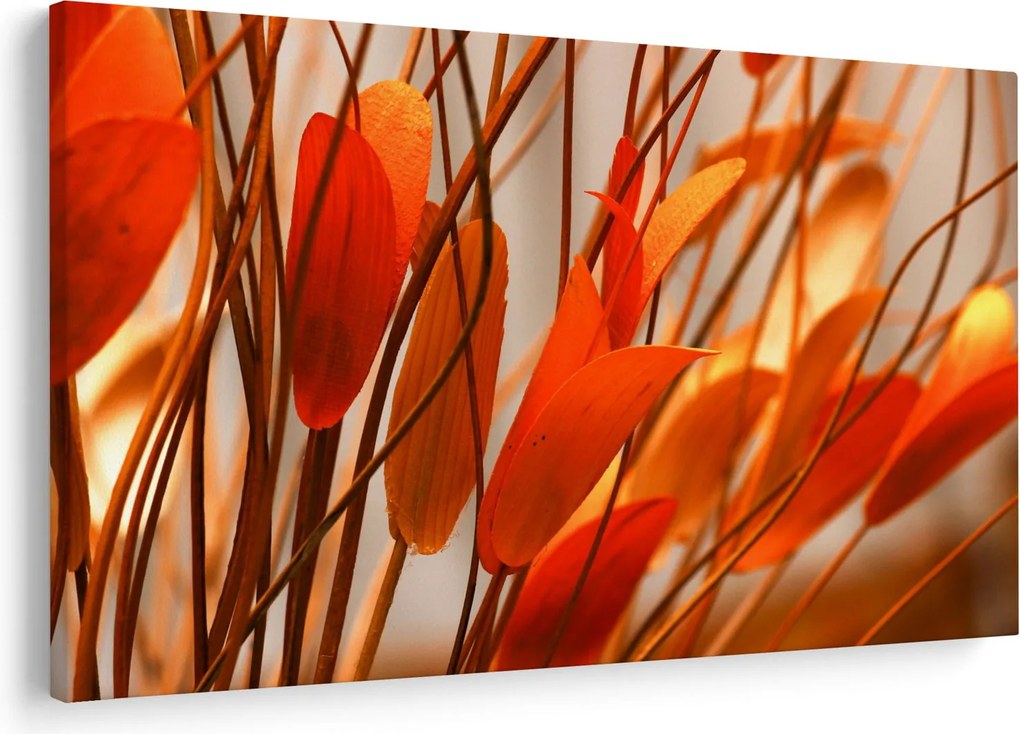 A szirmok képe (90x60 cm)