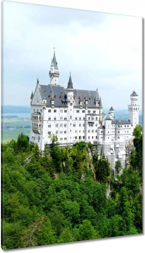 Festmények 80x120 Neuschwanstein kastély