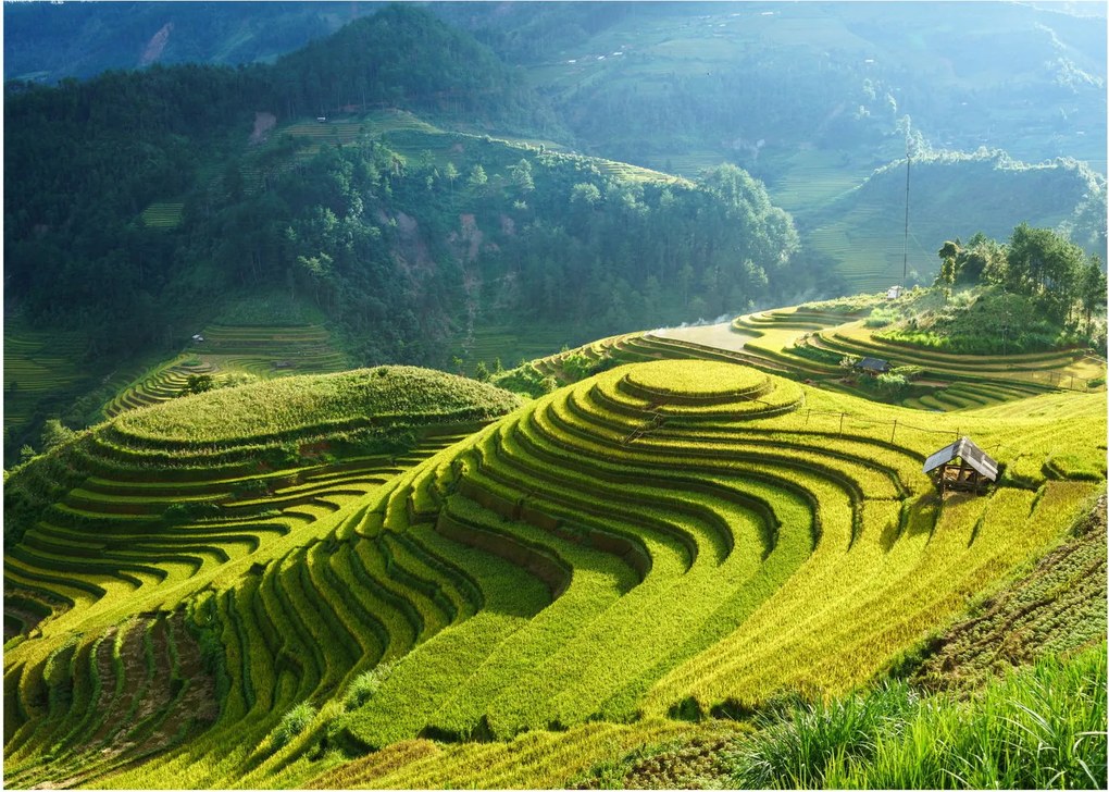 Üveg kép - Rice Terraces koncert (70x50 cm)