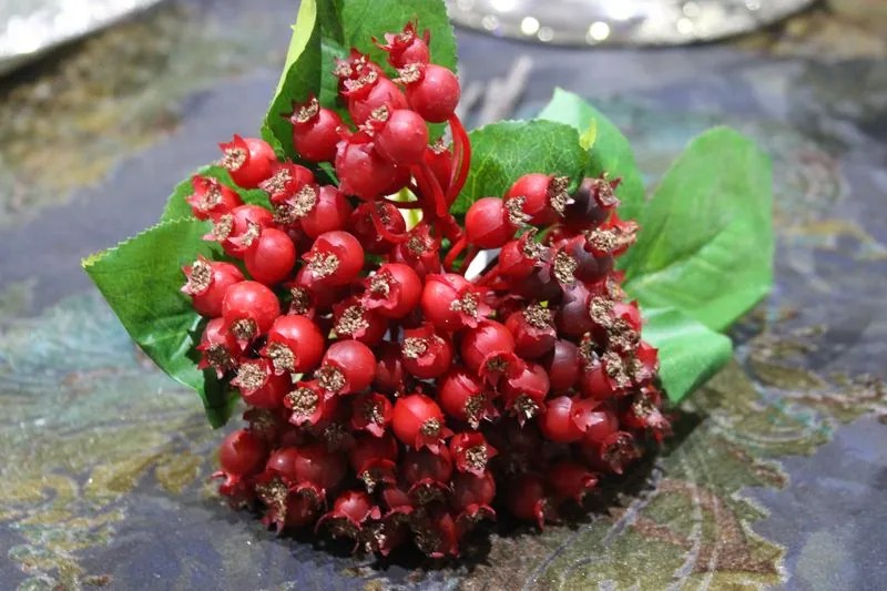 Piros csokor bogyókból