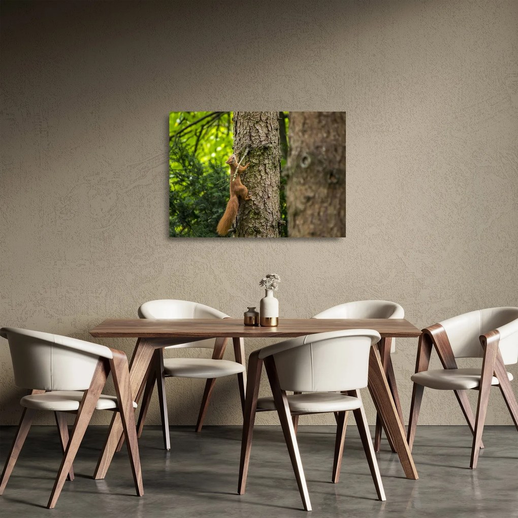 Kép - Mókus (üvegen) (70x50 cm)