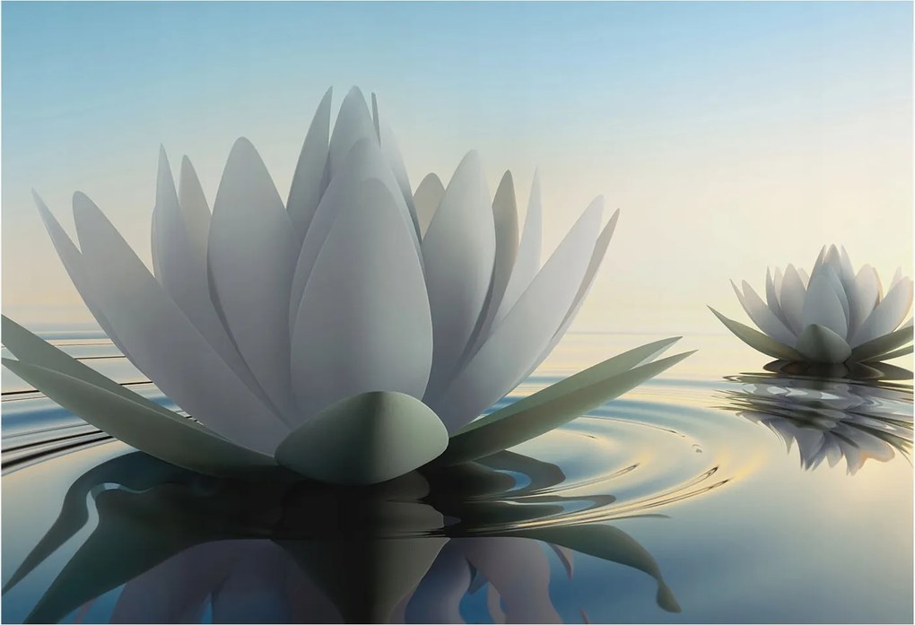 Fotótapéta Flizelina Nappali és Hálószoba Irodába Vízi liliomok 152x104 Ragasztó