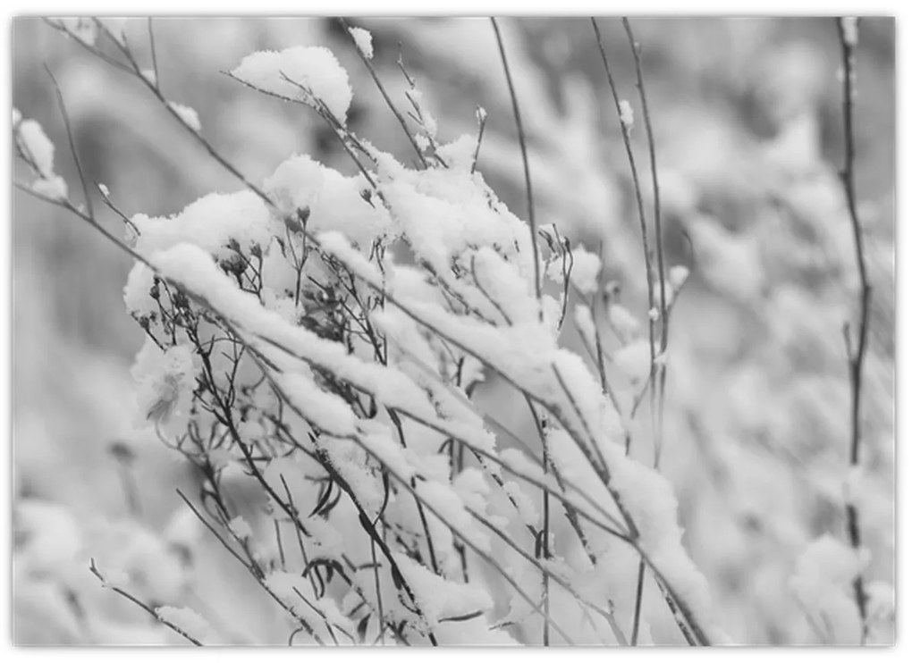 Üveg kép - Havas ágak (70x50 cm)