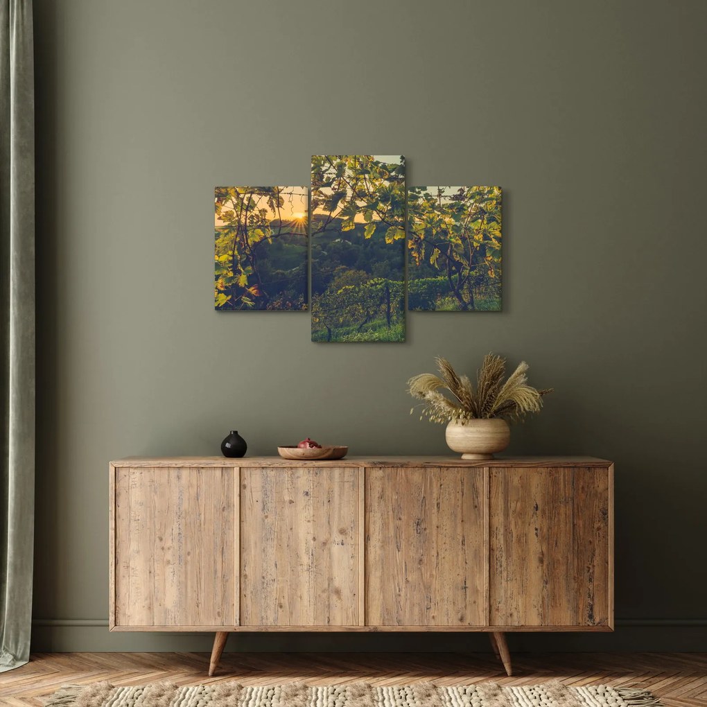 Kép - szőlőültetvény (90x60 cm)