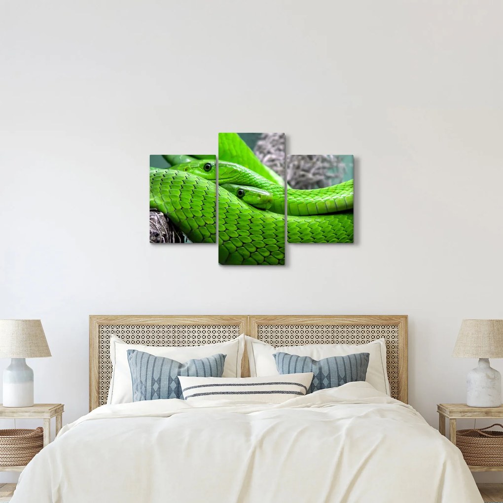 Zöld kígyók képe (90x60 cm)