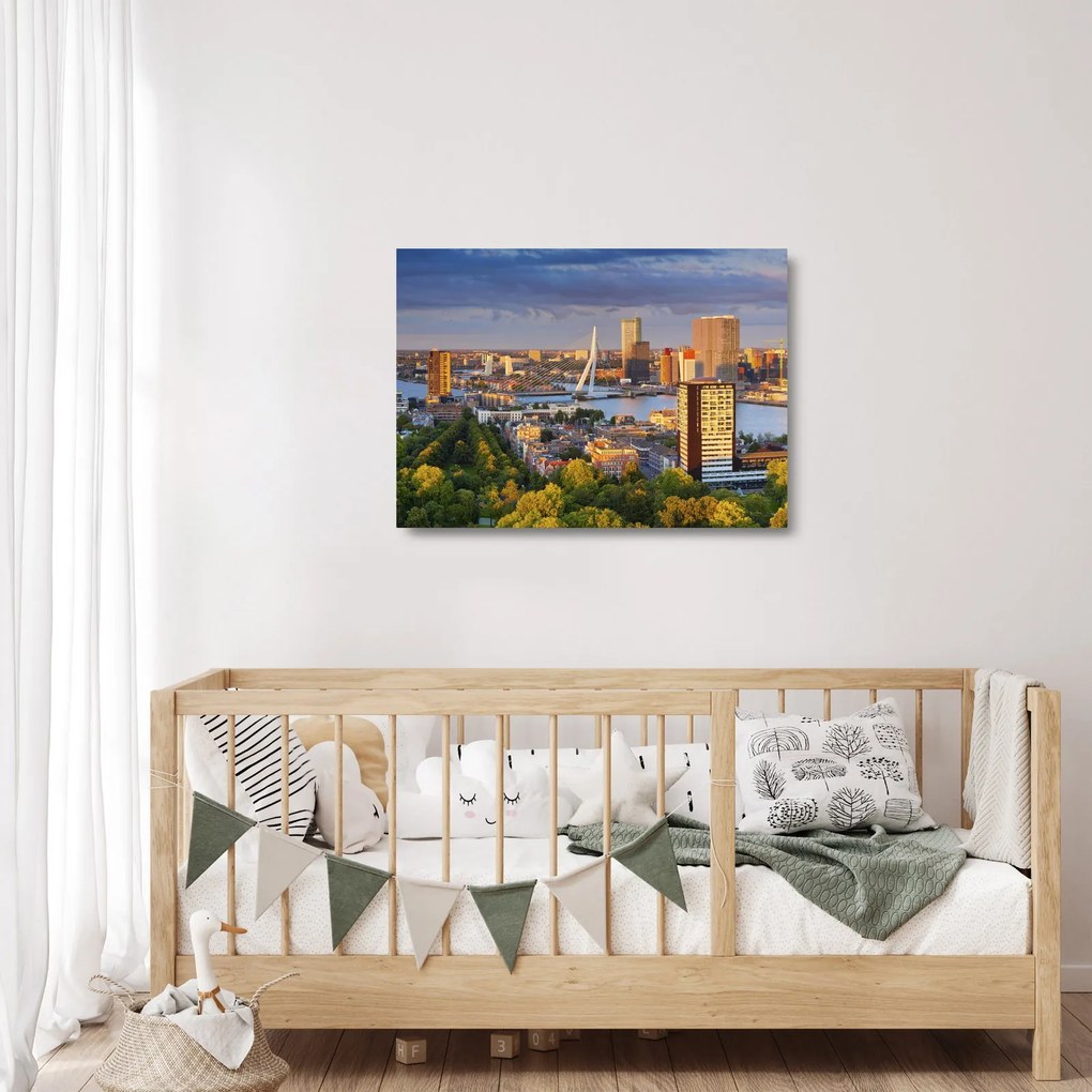 Kép - panoráma Rotterdam, Hollandia (üvegen) (70x50 cm)