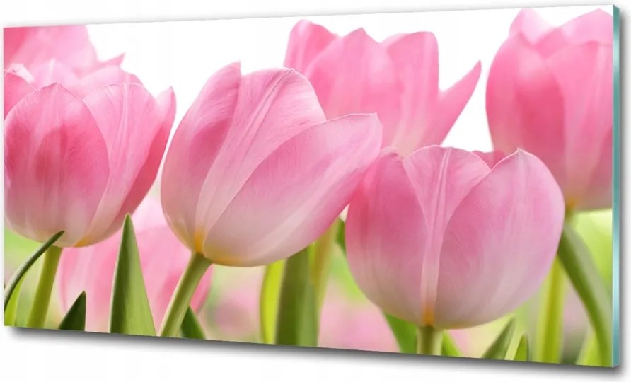 Fotótapéta üvegfalra Rózsaszín tulipánok 125x50