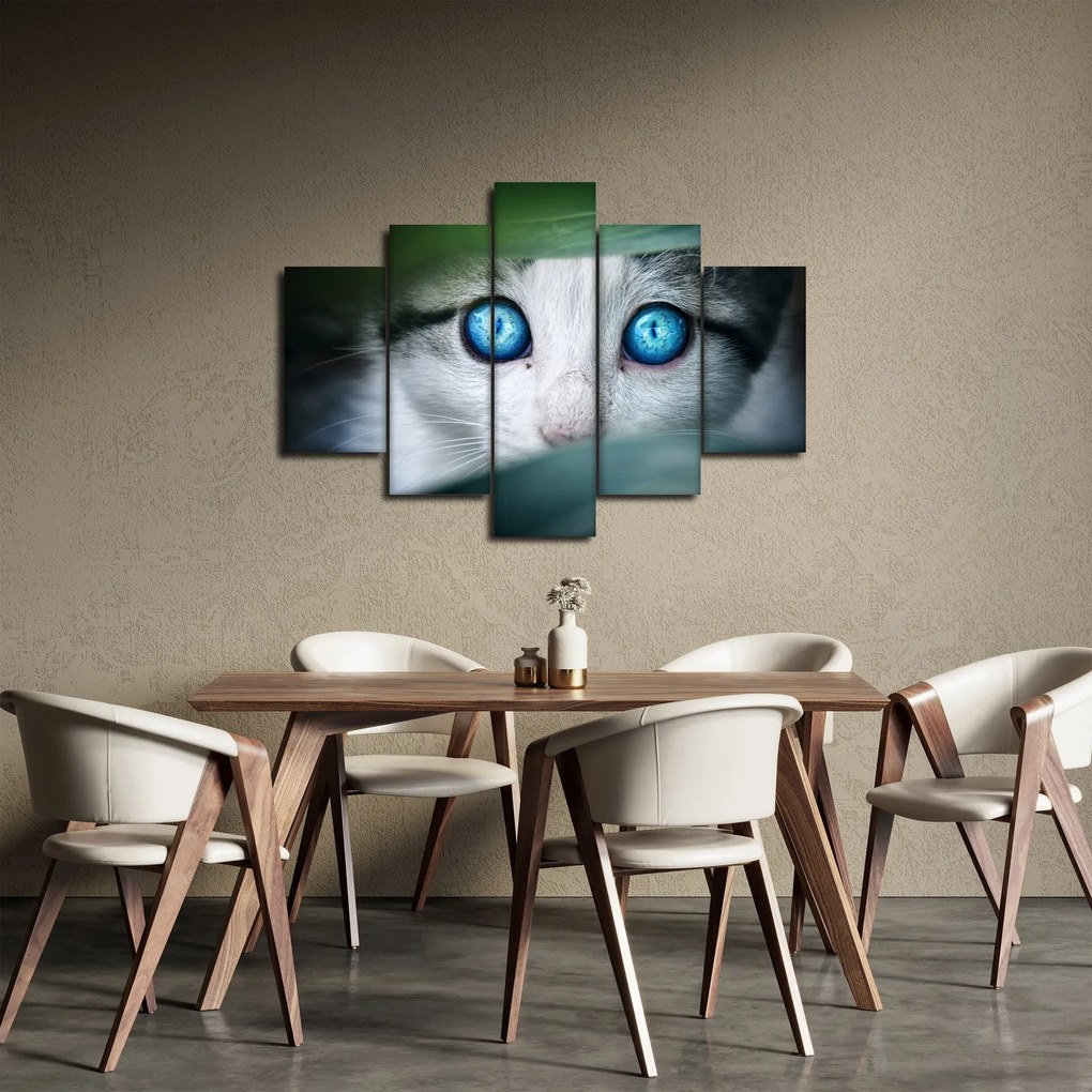 Macska képe (150x105 cm)