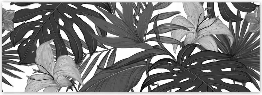 Fotótapéta 624x219 Fekete-fehér monstera