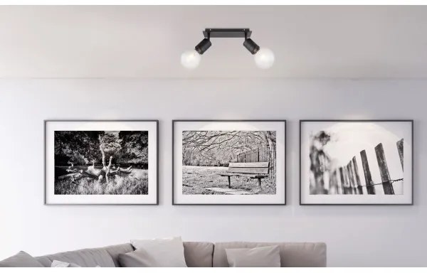 Globo 54030-2 - Spotlámpa HERMINE 2xE27/60W/230V