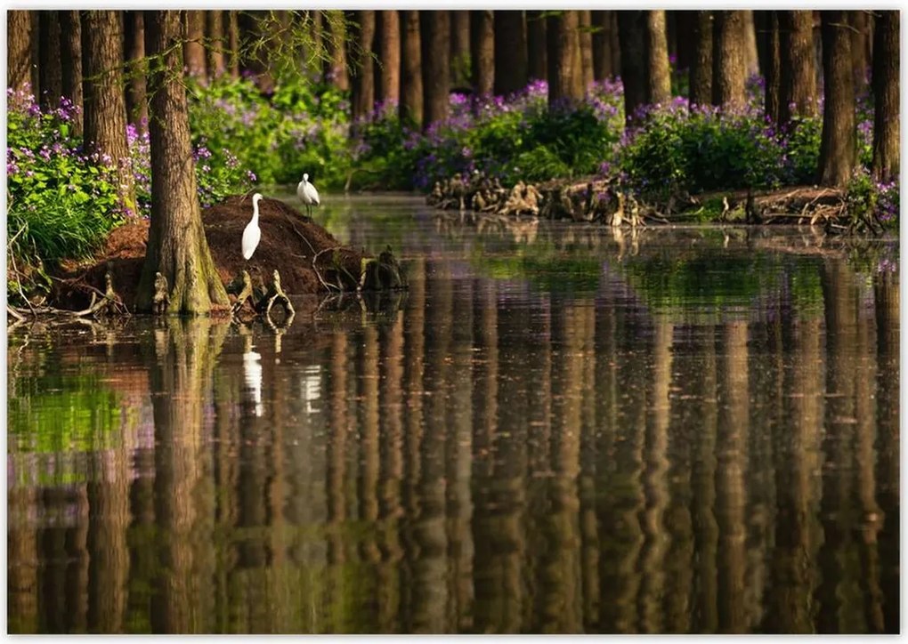 Poszterek 100x70 Tájkép Látvány