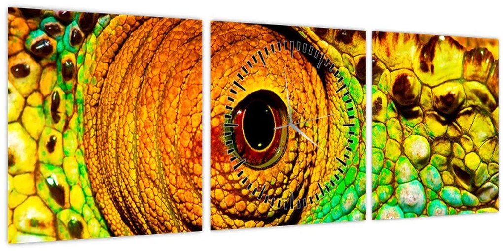 Kép - Kaméleon (órával) (90x30 cm)