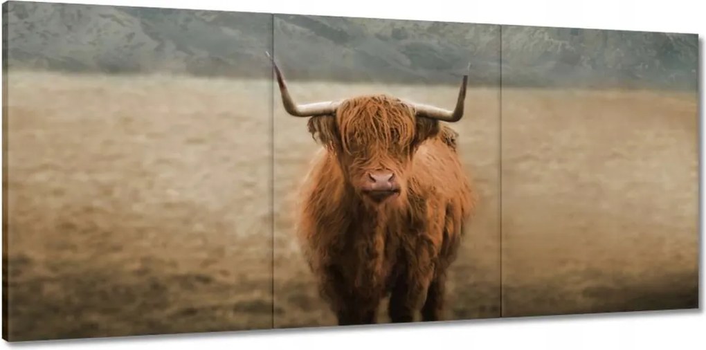 Vászonkép 150x70 Mint szarvasmarhák Szarvak