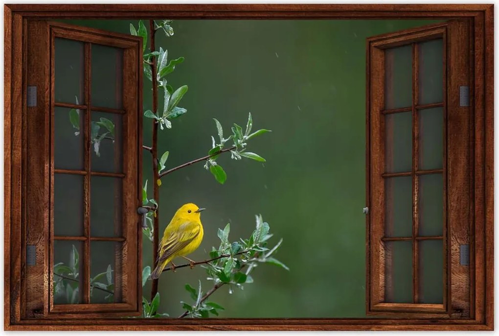 Poszterek 90x60 Madarak