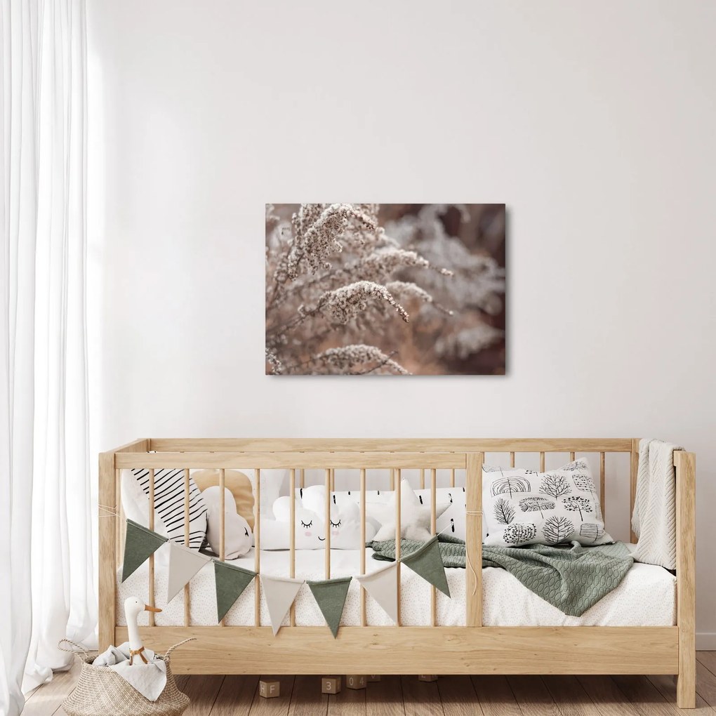 A növények képe (70x50 cm)