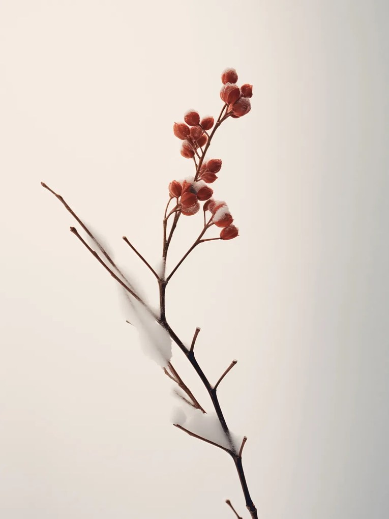 Poszter 60x80cm A tél finom ereje