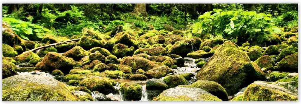 Poszterek 200x66 Tátra Lengyel hegyek Kilátás