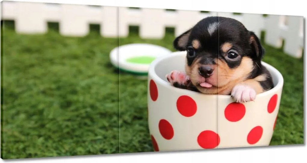 Vászonkép 120x60 Cukiság