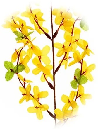 3 db-os műforsythia növény készlet, 52 cm magas