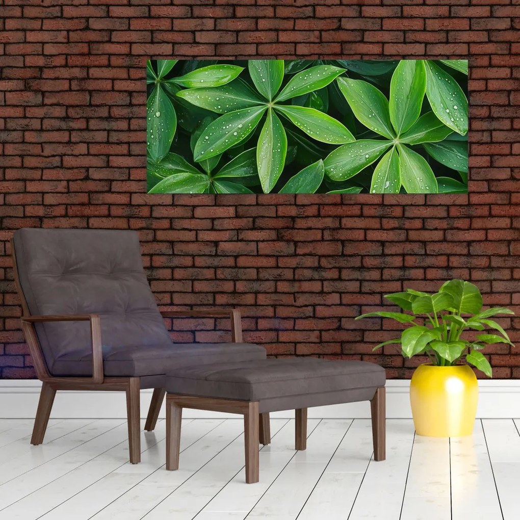 Kép - Levelek harmatcseppekkel (120x50 cm)