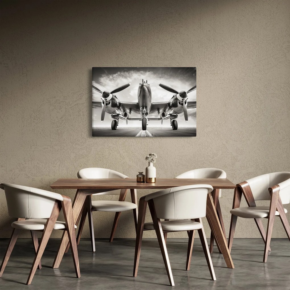 Kép - Warbird (90x60 cm)