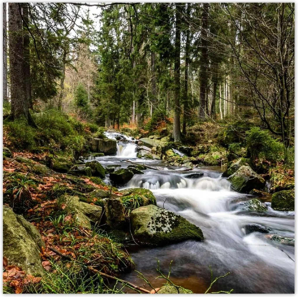 Poszterek 100x100 Tájkép