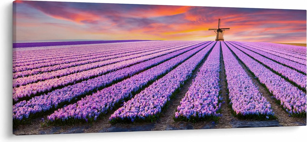 Kép - virágfarm (120x50 cm)