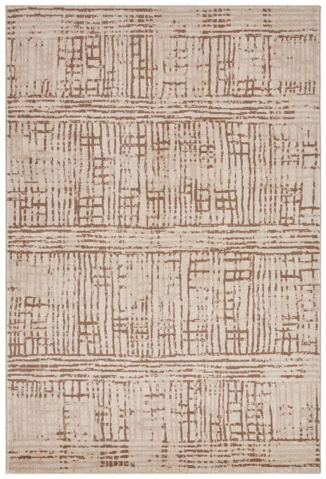 Barna-bézs szőnyeg 120x170 cm Terrain – Hanse Home