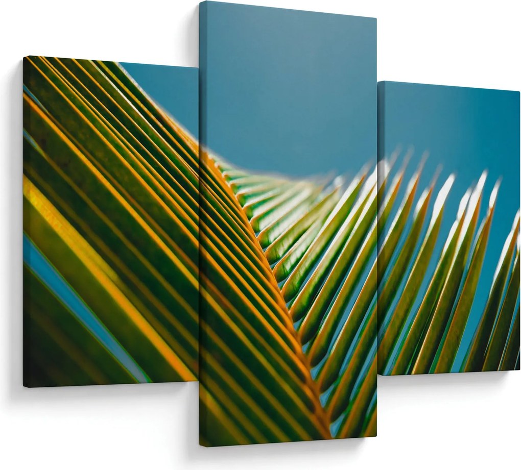 Kép - A pálmalevél részlete (90x60 cm)