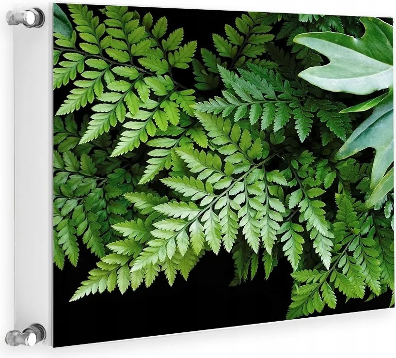 Mágneses Radiátorvédő 60x60 Virágok Fotótapéta