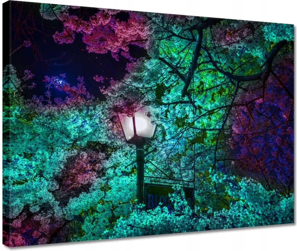 Vászonkép 40x30 Éjszakai motívum a konyhába