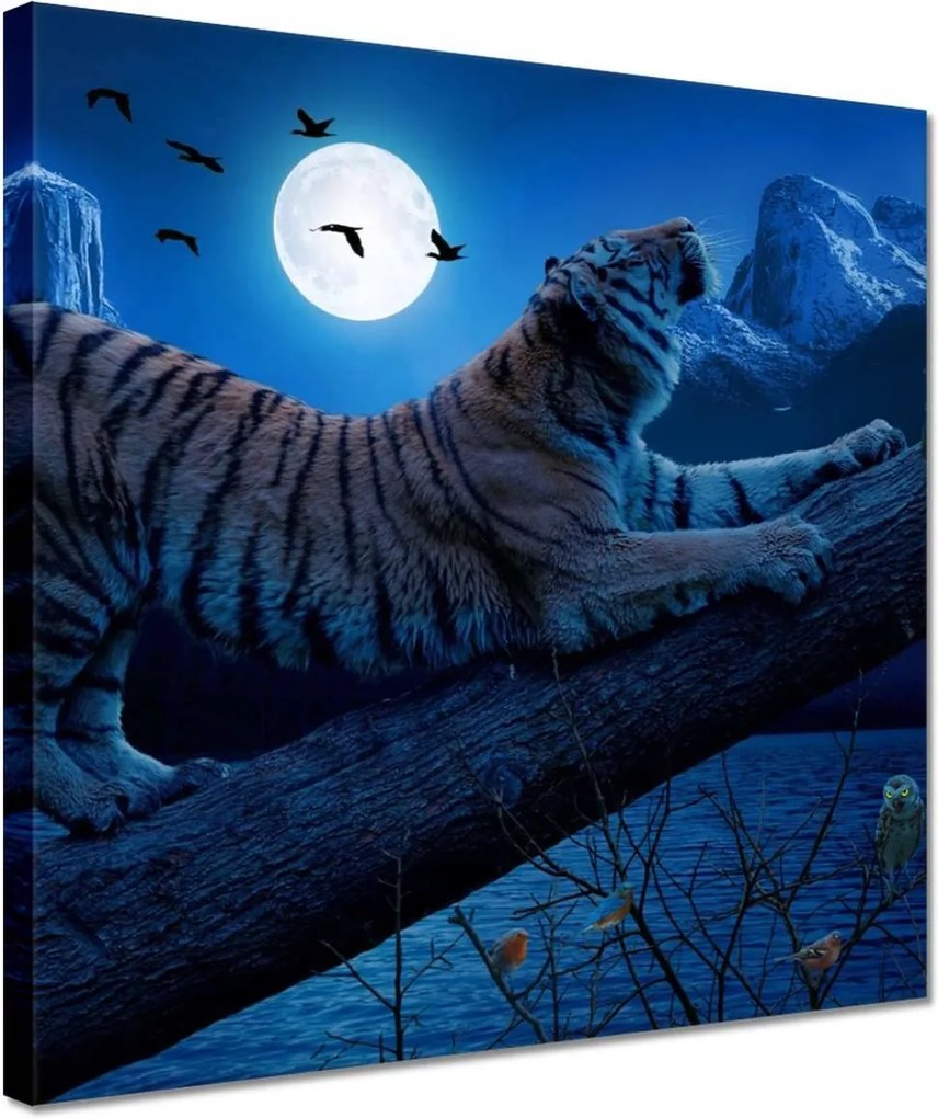 Vászonkép 30x30 Tigris az ágon éjszaka