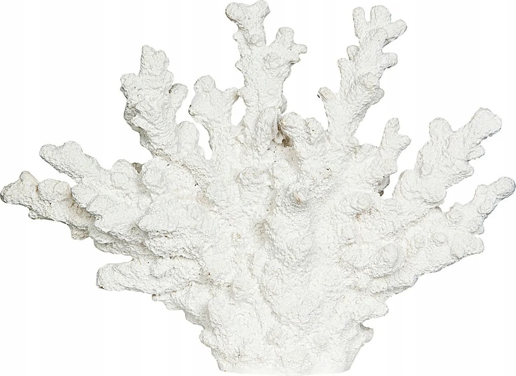 Korall Figura korallzátony Fehér