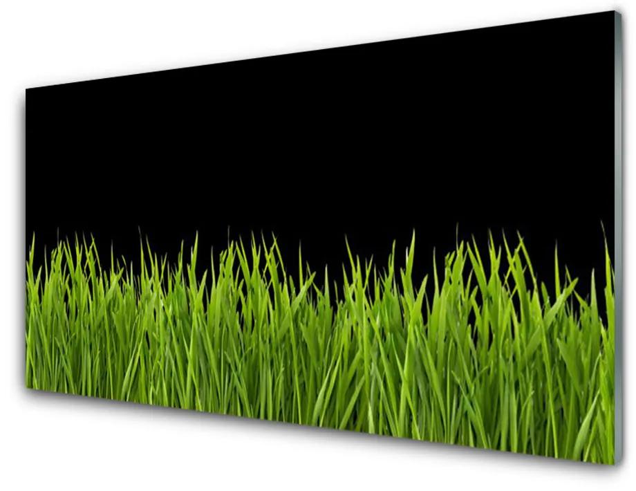 Üvegkép Green Grass Nature 140x70 cm