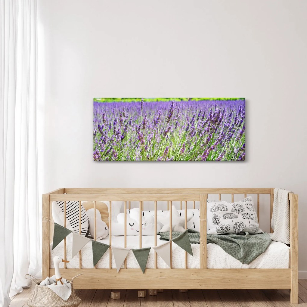 Egy mező képe a levendulával (120x50 cm)
