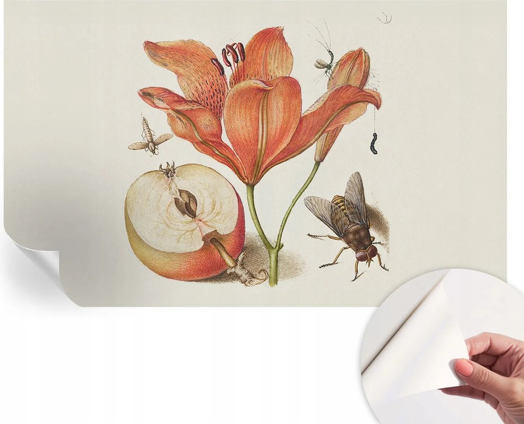 Dekoratív öntapadós fotótapéta az irodába Botanikus illusztráció 416x254