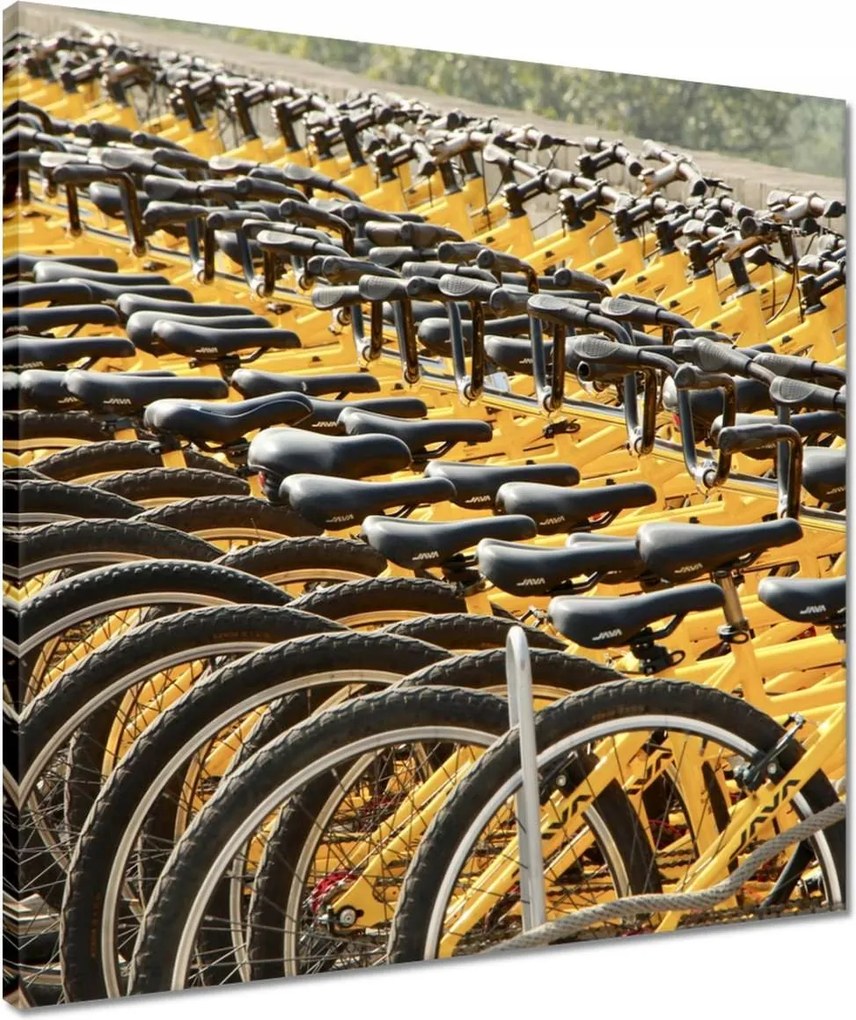 Vászonkép 50x50 Kerékpárok Két kerék