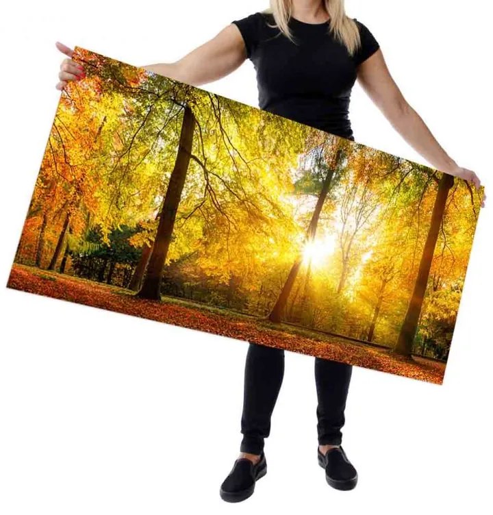 Wallplex falburkoló konyhapanel Őszi erdő (Méret: Közepes 60x180)