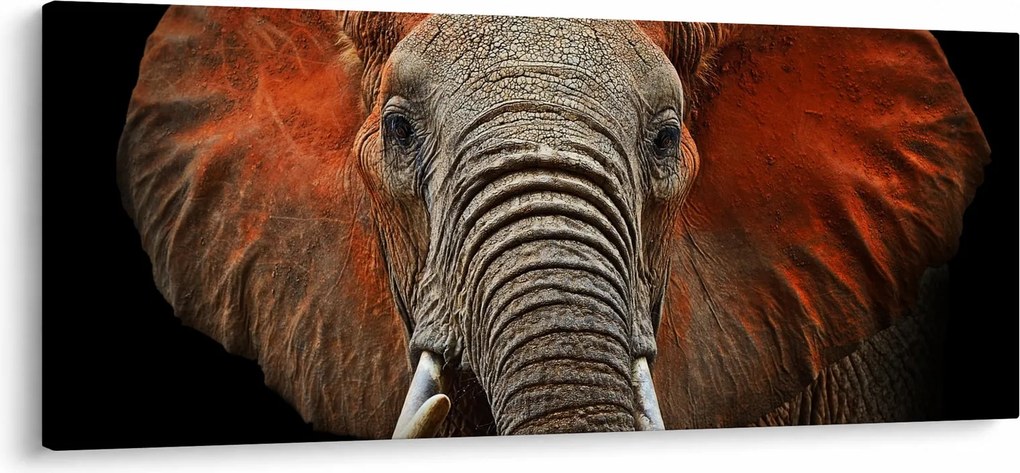 Kép - Elefántok Tsavóval (120x50 cm)