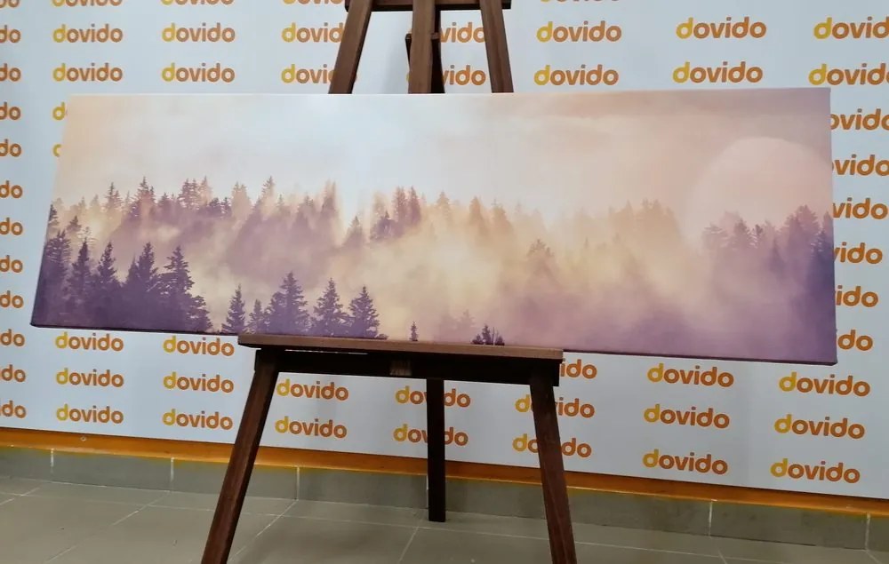 Kép köd az erdő felett