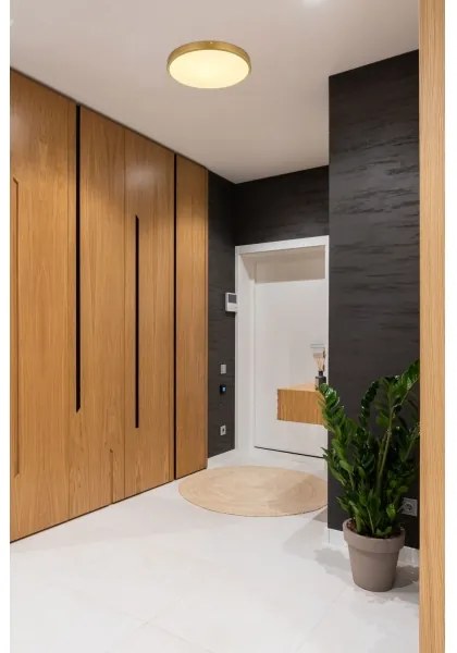 Globo 12381-22 - LED Mennyezeti lámpa TIBEY LED/22W/230V átm. 35 cm