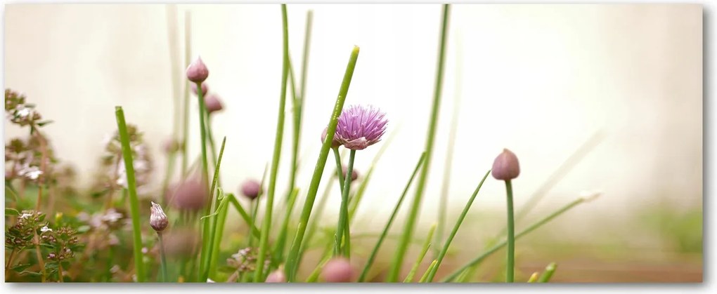 Modern üvegpanel a konyhába Metélőhagyma XXL