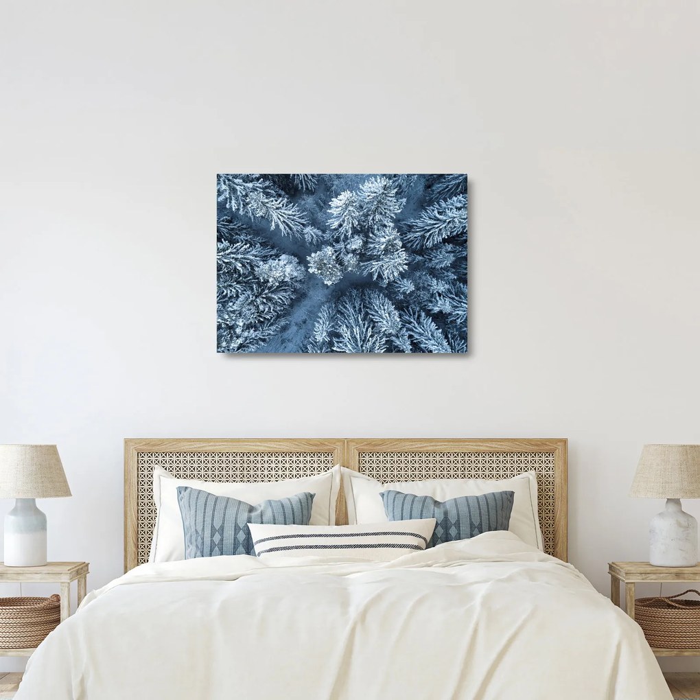 Üveg kép - Havas erdő (70x50 cm)