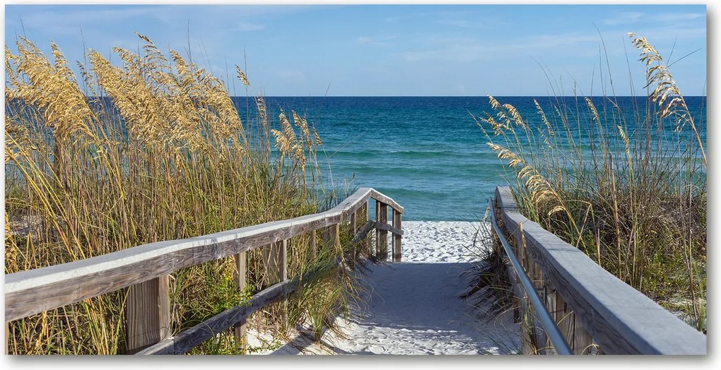 Fotó üvegkép Tengerparti dűnék 140x70