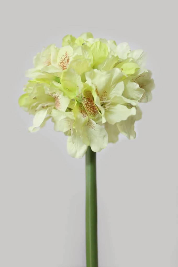 Halványzöld mű havasszépe (rhododendron) 100cm