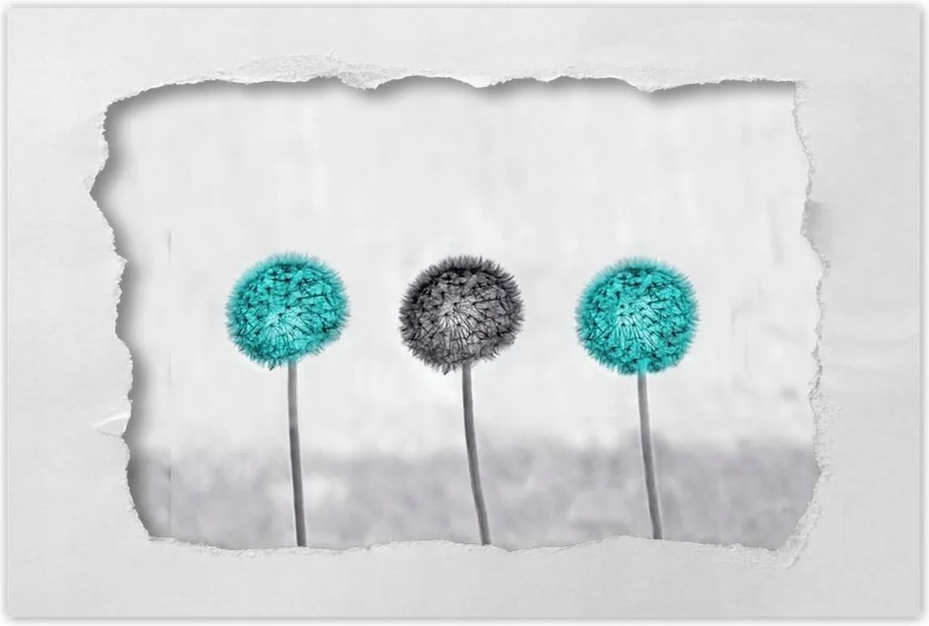 Poszterek 90x60 Türkiz pitypangok