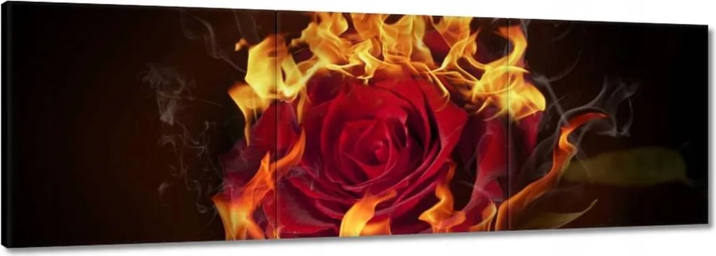 Vászonkép 90x30 Vörös lángoló rózsa