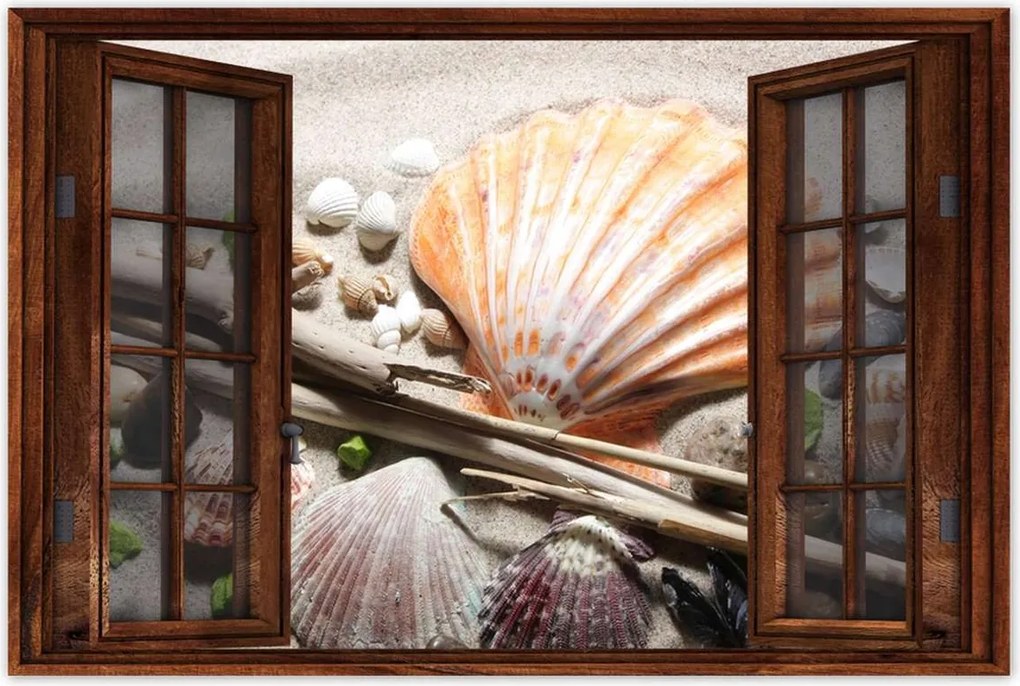 Poszterek 90x60 Kagylók a balti tengerpartról