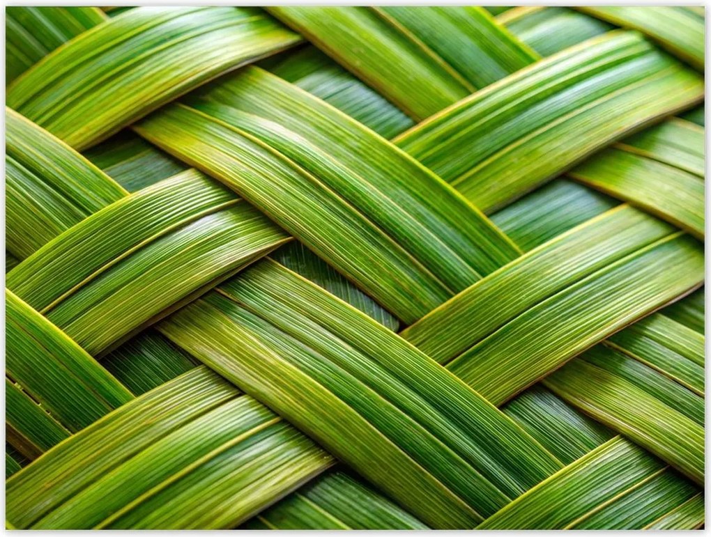 Poszterek 40x30 Zöld fonott zöld rattan fonott lemez