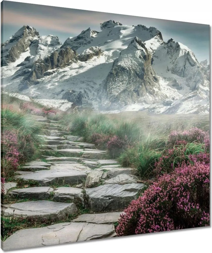 Vászonkép 80x80 Hegyi kilátás Tájkép Köd